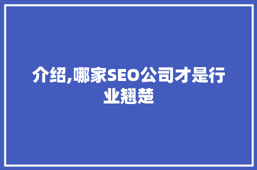 介绍,哪家SEO公司才是行业翘楚