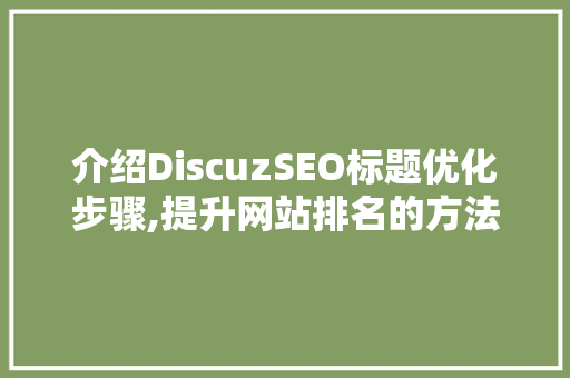介绍DiscuzSEO标题优化步骤,提升网站排名的方法