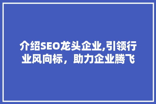 介绍SEO龙头企业,引领行业风向标，助力企业腾飞
