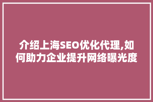 介绍上海SEO优化代理,如何助力企业提升网络曝光度