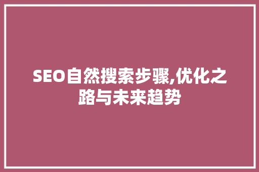 SEO自然搜索步骤,优化之路与未来趋势