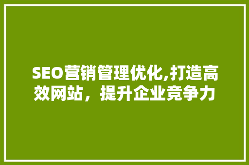 SEO营销管理优化,打造高效网站，提升企业竞争力