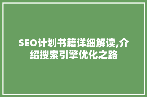 SEO计划书籍详细解读,介绍搜索引擎优化之路