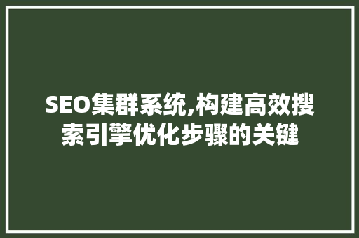 SEO集群系统,构建高效搜索引擎优化步骤的关键