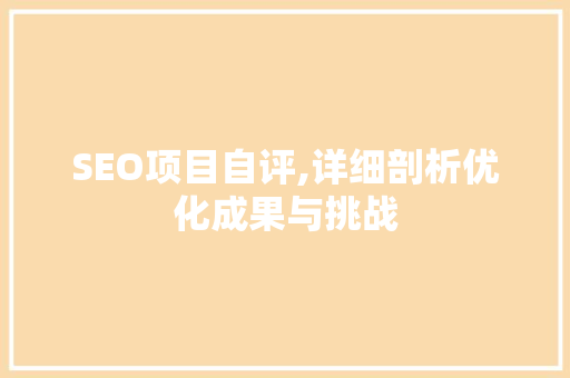 SEO项目自评,详细剖析优化成果与挑战