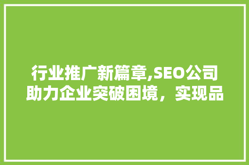 行业推广新篇章,SEO公司助力企业突破困境，实现品牌崛起