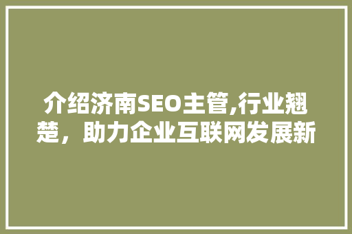 介绍济南SEO主管,行业翘楚，助力企业互联网发展新篇章