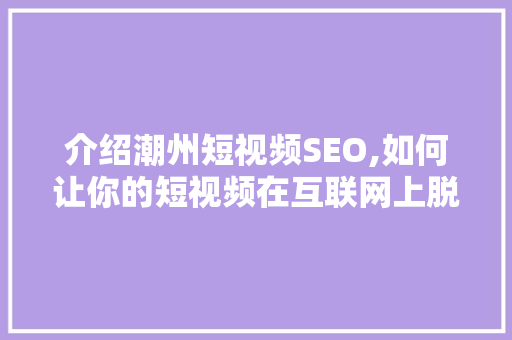 介绍潮州短视频SEO,如何让你的短视频在互联网上脱颖而出