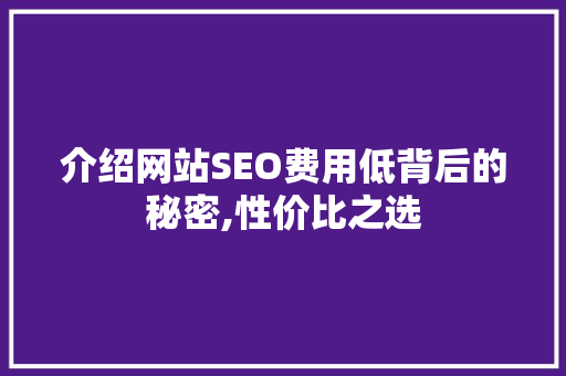 介绍网站SEO费用低背后的秘密,性价比之选