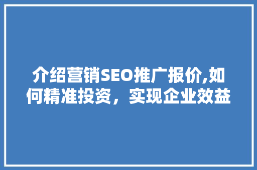 介绍营销SEO推广报价,如何精准投资，实现企业效益最大化