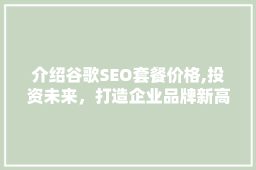 介绍谷歌SEO套餐价格,投资未来，打造企业品牌新高度