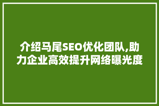 介绍马尾SEO优化团队,助力企业高效提升网络曝光度