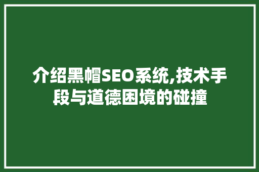 介绍黑帽SEO系统,技术手段与道德困境的碰撞