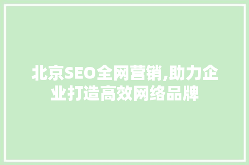 北京SEO全网营销,助力企业打造高效网络品牌