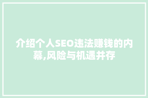 介绍个人SEO违法赚钱的内幕,风险与机遇并存