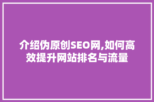 介绍伪原创SEO网,如何高效提升网站排名与流量