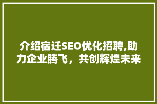 介绍宿迁SEO优化招聘,助力企业腾飞，共创辉煌未来