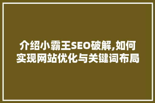 介绍小霸王SEO破解,如何实现网站优化与关键词布局的完美融合