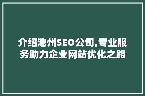 介绍池州SEO公司,专业服务助力企业网站优化之路