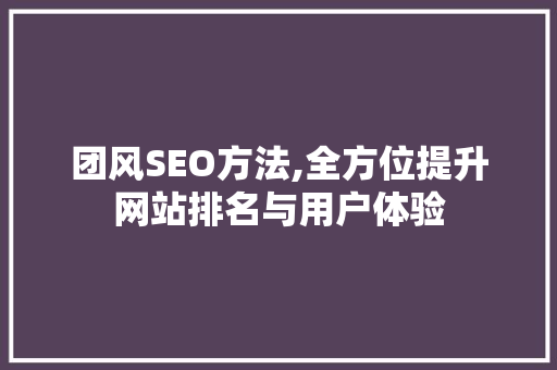 团风SEO方法,全方位提升网站排名与用户体验