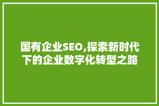 国有企业SEO,探索新时代下的企业数字化转型之路