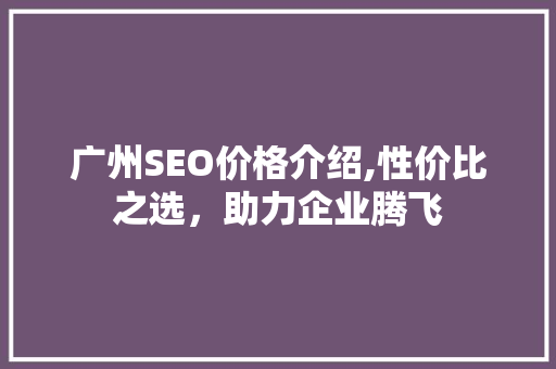 广州SEO价格介绍,性价比之选，助力企业腾飞