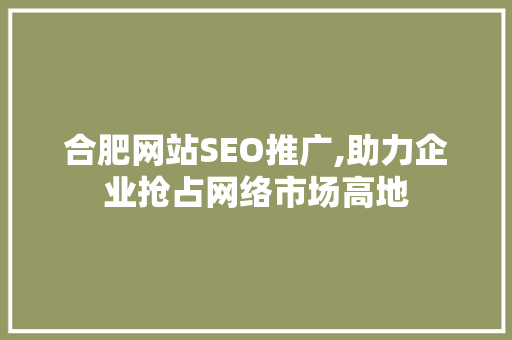 合肥网站SEO推广,助力企业抢占网络市场高地