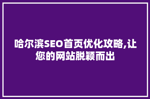 哈尔滨SEO首页优化攻略,让您的网站脱颖而出