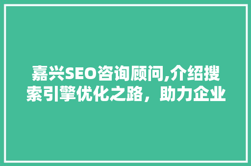 嘉兴SEO咨询顾问,介绍搜索引擎优化之路，助力企业网络营销腾飞