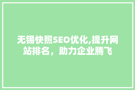 无锡快照SEO优化,提升网站排名，助力企业腾飞