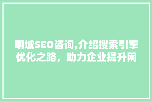 明城SEO咨询,介绍搜索引擎优化之路，助力企业提升网络竞争力