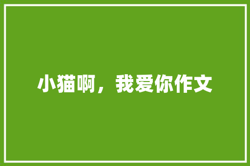 朔州SEO优化,助力企业网络营销的方法之路