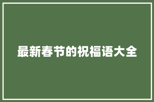 朝阳抖音SEO攻略,如何让你的抖音内容脱颖而出