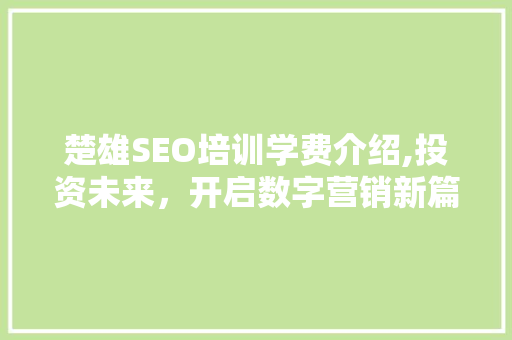 楚雄SEO培训学费介绍,投资未来，开启数字营销新篇章