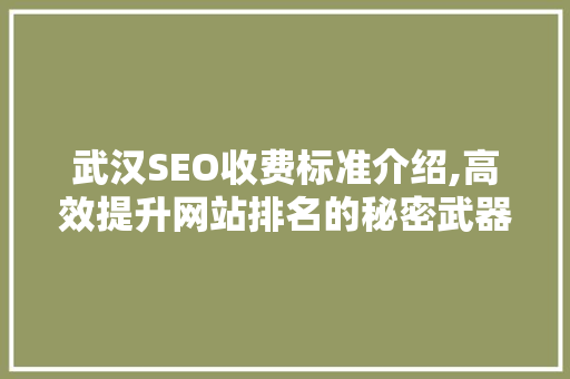 武汉SEO收费标准介绍,高效提升网站排名的秘密武器