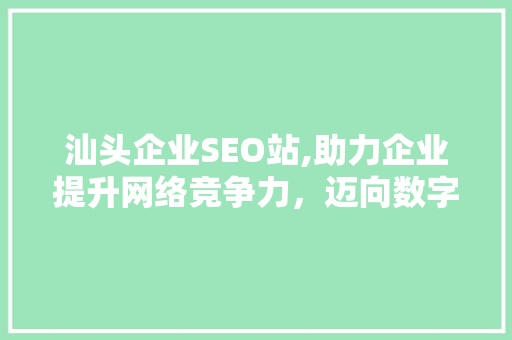汕头企业SEO站,助力企业提升网络竞争力，迈向数字化时代