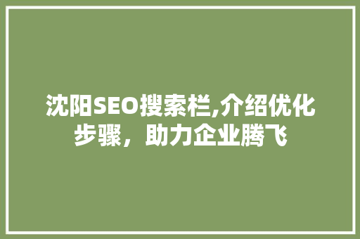 沈阳SEO搜索栏,介绍优化步骤，助力企业腾飞