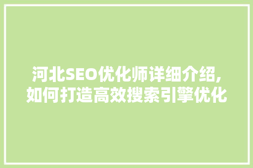 河北SEO优化师详细介绍,如何打造高效搜索引擎优化步骤