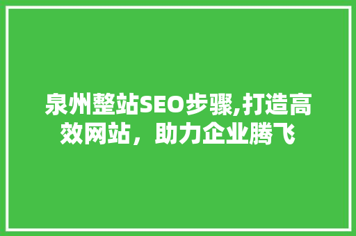 泉州整站SEO步骤,打造高效网站，助力企业腾飞