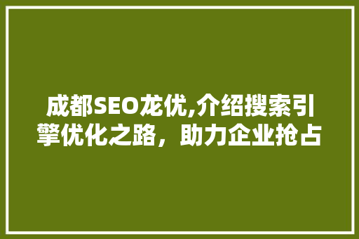 成都SEO龙优,介绍搜索引擎优化之路，助力企业抢占市场先机