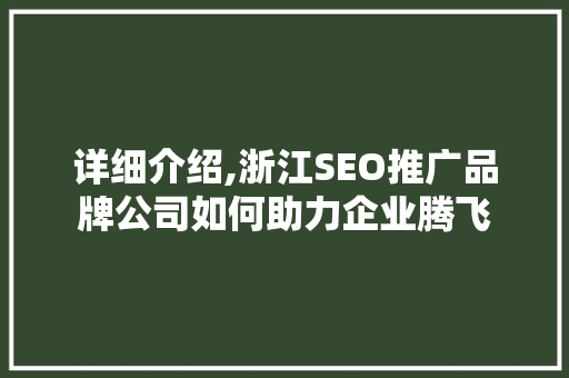 详细介绍,浙江SEO推广品牌公司如何助力企业腾飞