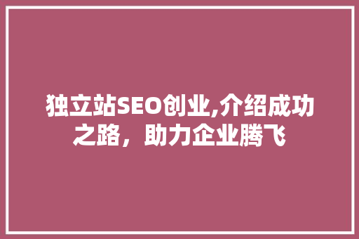独立站SEO创业,介绍成功之路，助力企业腾飞