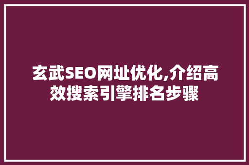 玄武SEO网址优化,介绍高效搜索引擎排名步骤