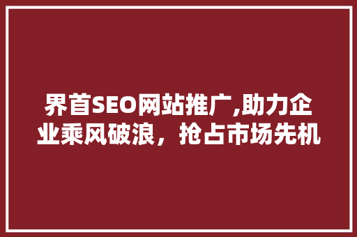 界首SEO网站推广,助力企业乘风破浪，抢占市场先机