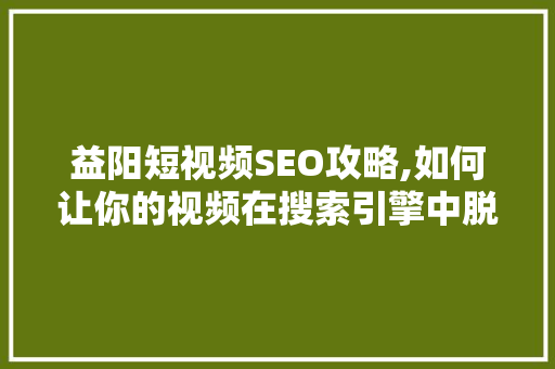 益阳短视频SEO攻略,如何让你的视频在搜索引擎中脱颖而出