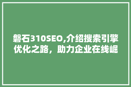 磐石310SEO,介绍搜索引擎优化之路，助力企业在线崛起