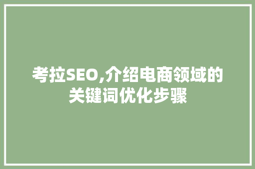 考拉SEO,介绍电商领域的关键词优化步骤
