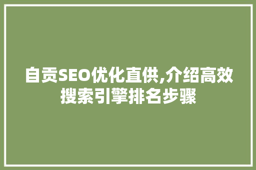 自贡SEO优化直供,介绍高效搜索引擎排名步骤
