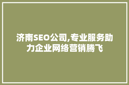 济南SEO公司,专业服务助力企业网络营销腾飞