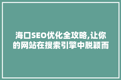 海口SEO优化全攻略,让你的网站在搜索引擎中脱颖而出